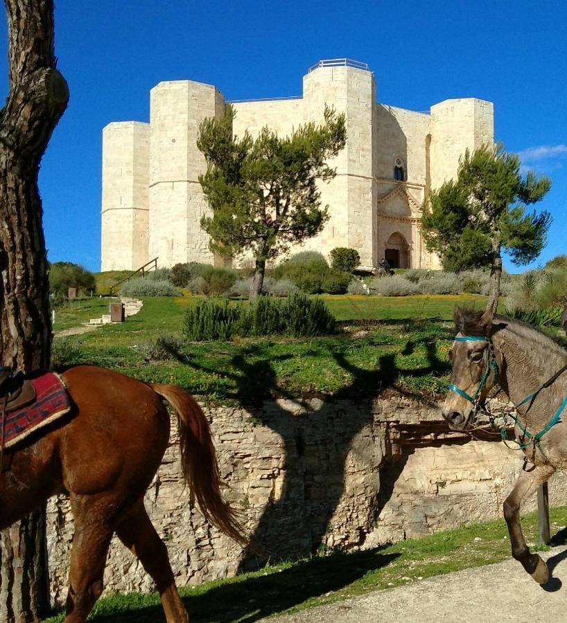 Casa Vacanza Dei Greci บาร์เลตตา ภายนอก รูปภาพ